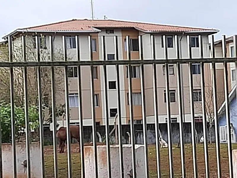 Apartamento em Licitação