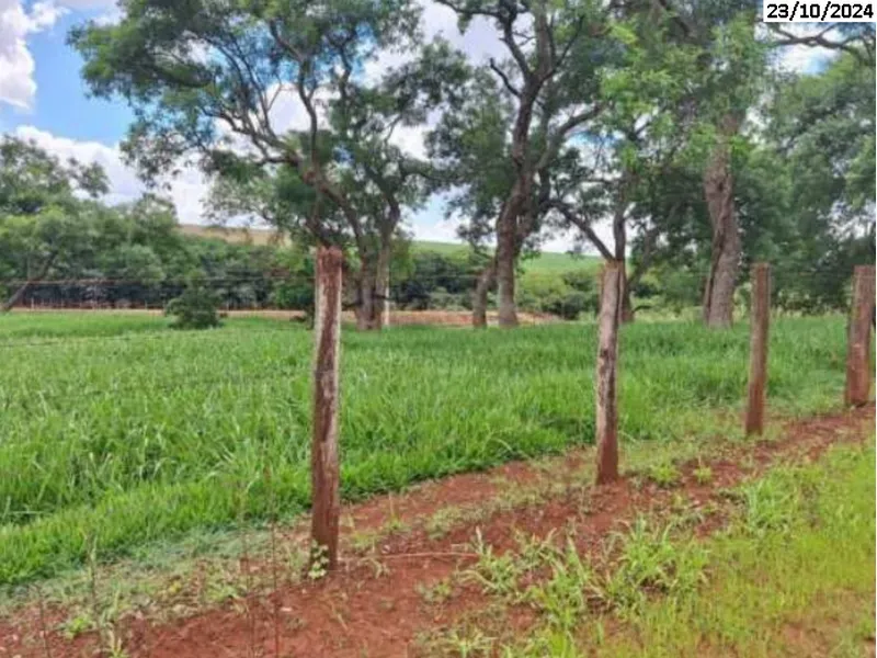 Imóvel rural em leilão