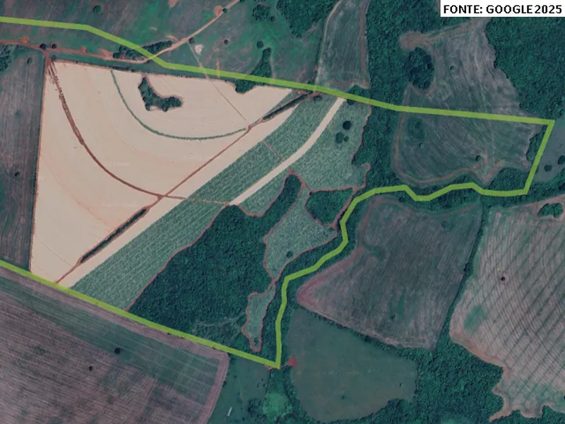 Imóvel rural em leilão