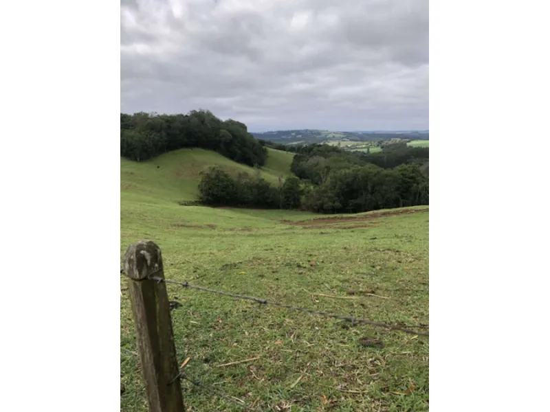 Imóvel rural em Leilão Judicial