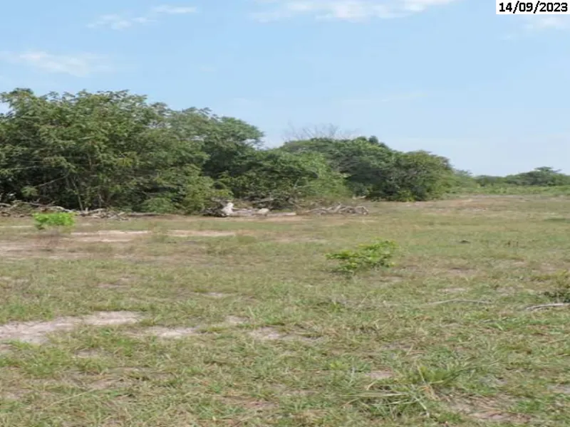 Imóvel rural em Leilão Judicial
