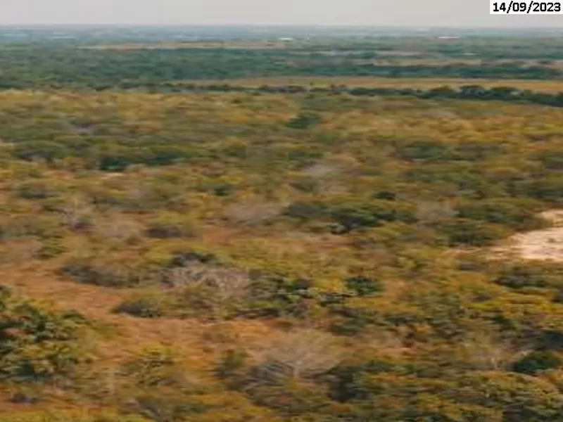 Imóvel rural em leilão