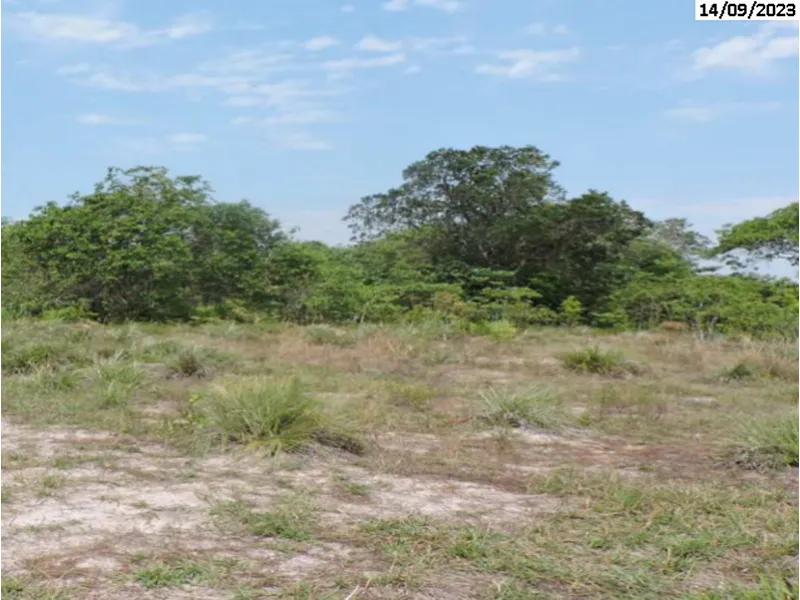 Imóvel rural em leilão