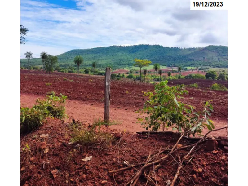 Imóvel rural em Leilão Judicial