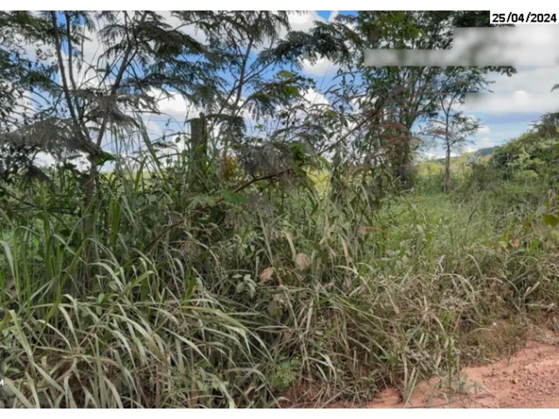 Imóvel rural em leilão