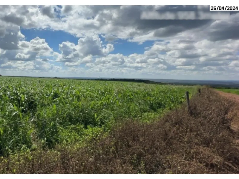 Imóvel rural em leilão
