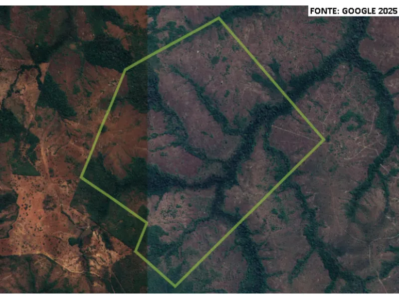 Imóvel rural em Leilão Judicial