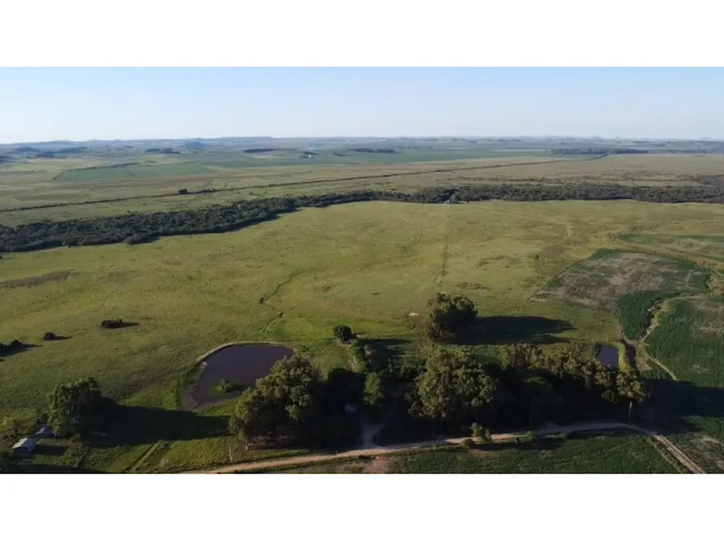 Imóvel rural em leilão