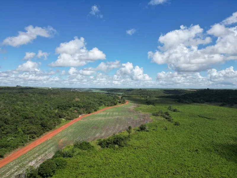 Gleba em leilão