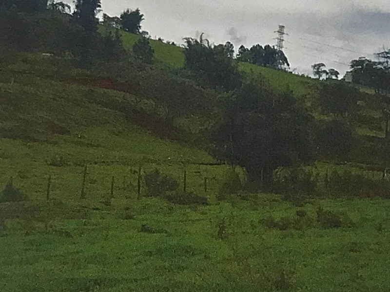 Imóvel rural em leilão
