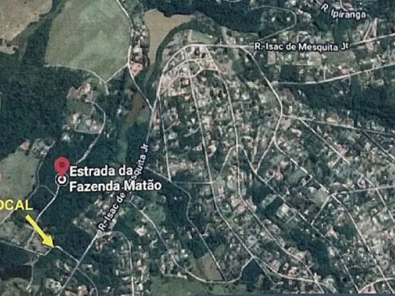 Outros em leilão