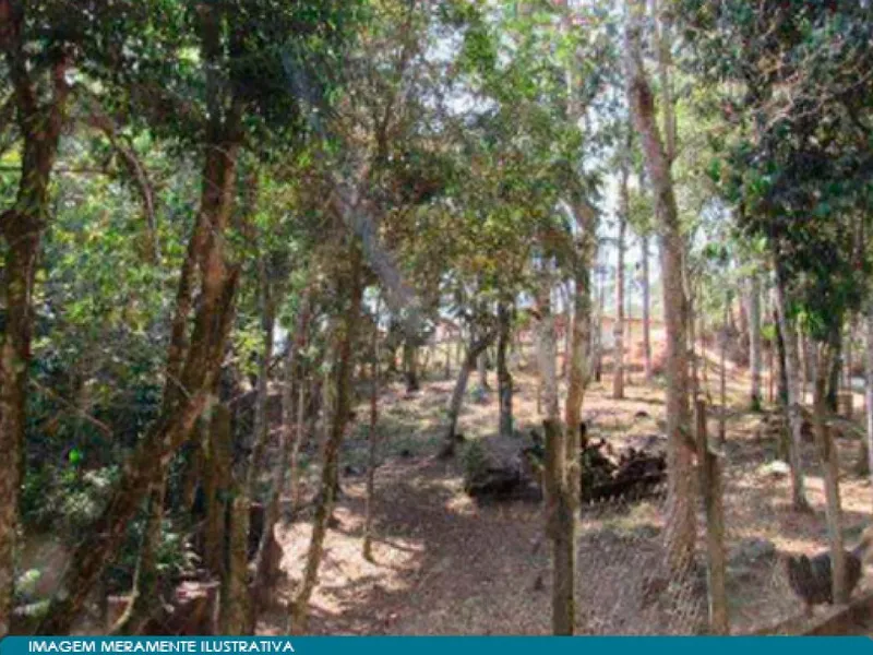 Imóvel rural em leilão