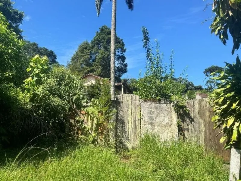 Imóvel rural em leilão