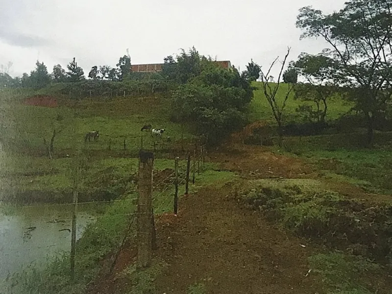 Imóvel rural em leilão