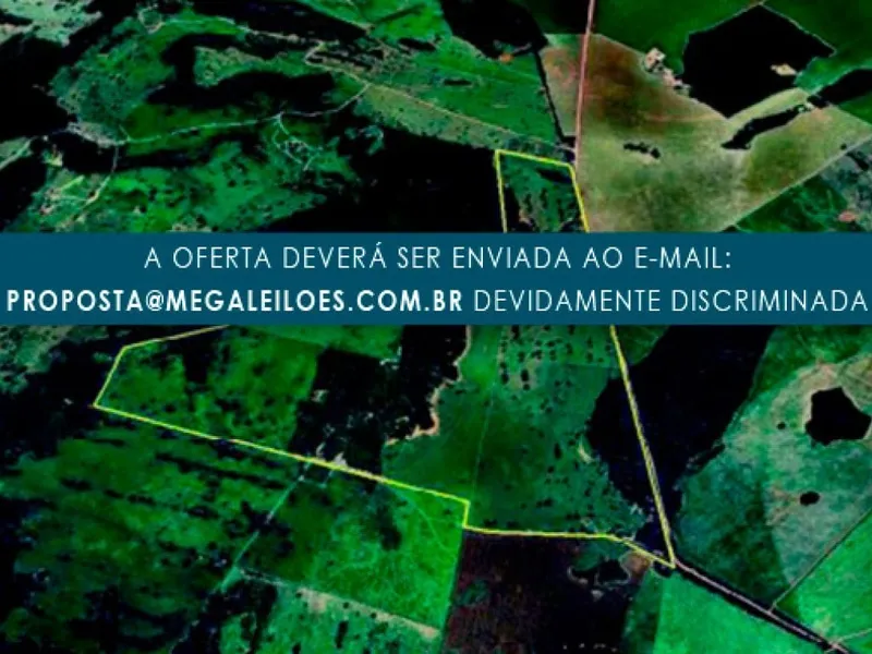 Imóvel rural em Leilão Judicial