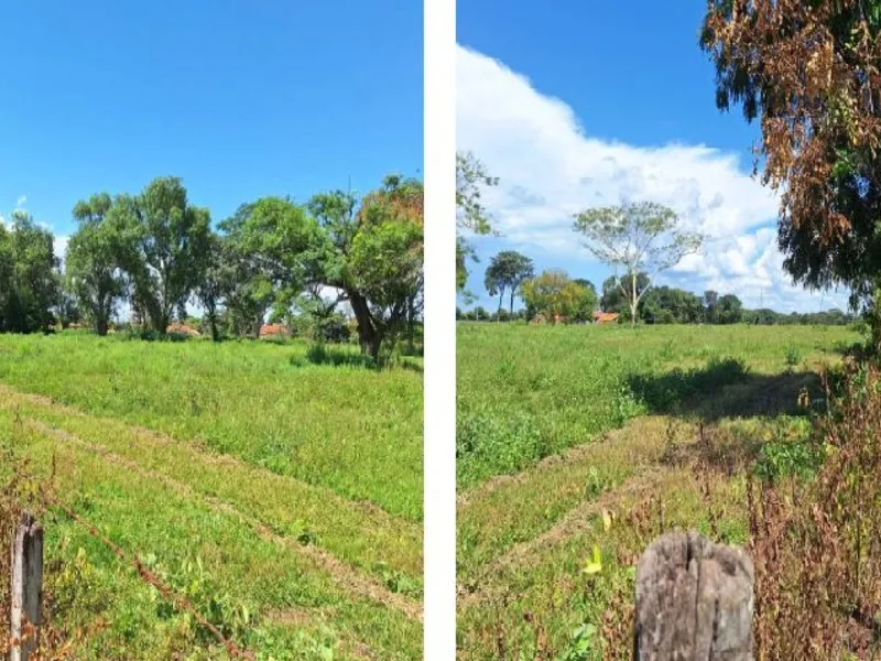 Imóvel rural em Leilão Judicial