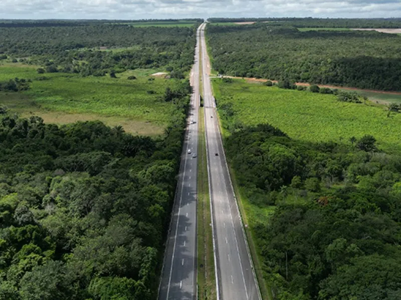 Gleba em leilão