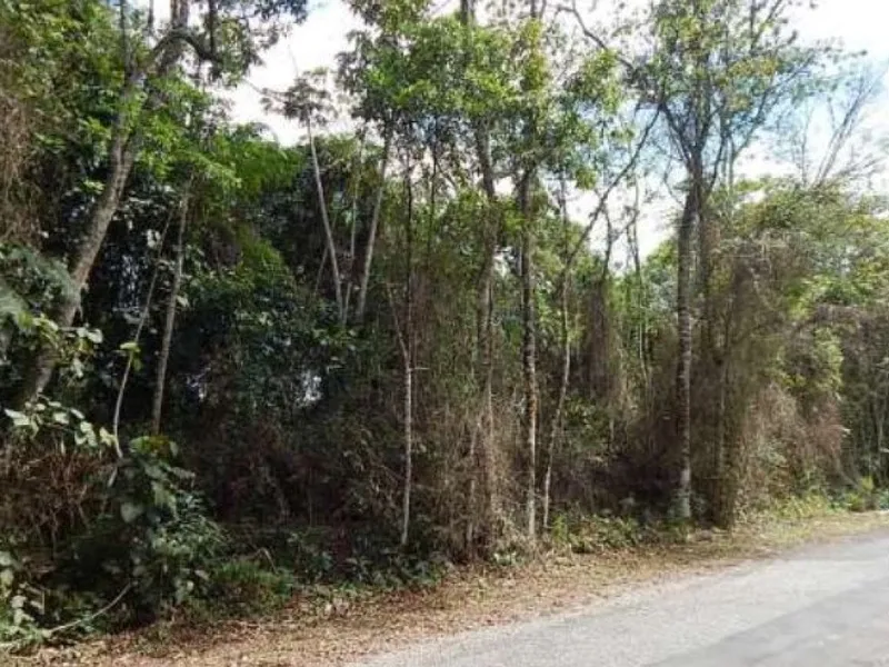 Imóvel rural em Leilão Judicial