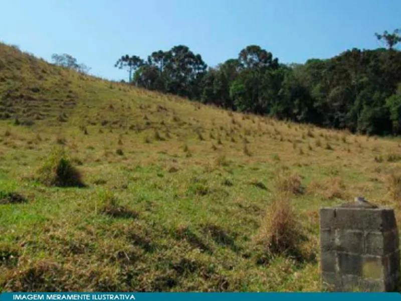 Imóvel rural em leilão