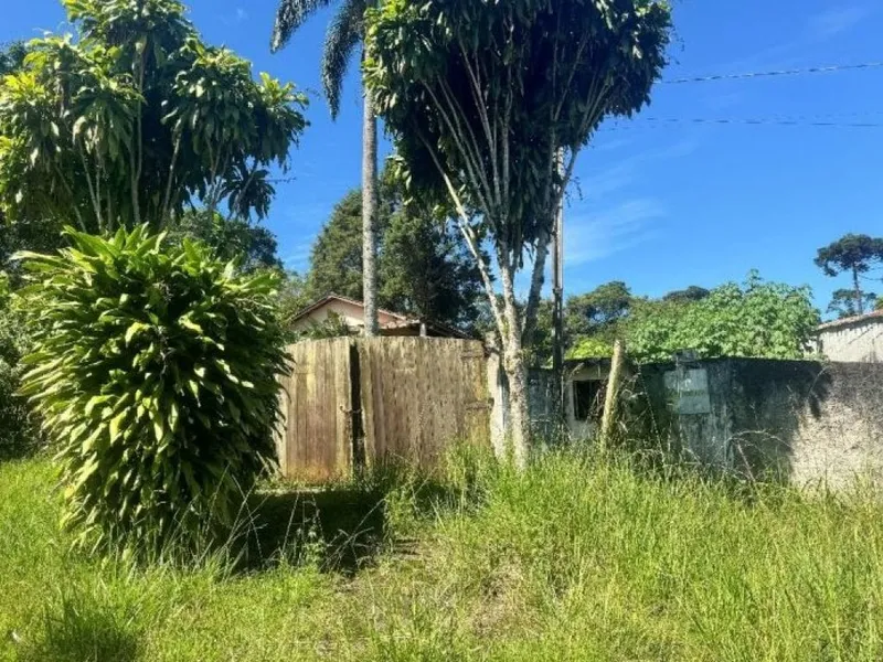 Imóvel rural em Leilão Judicial