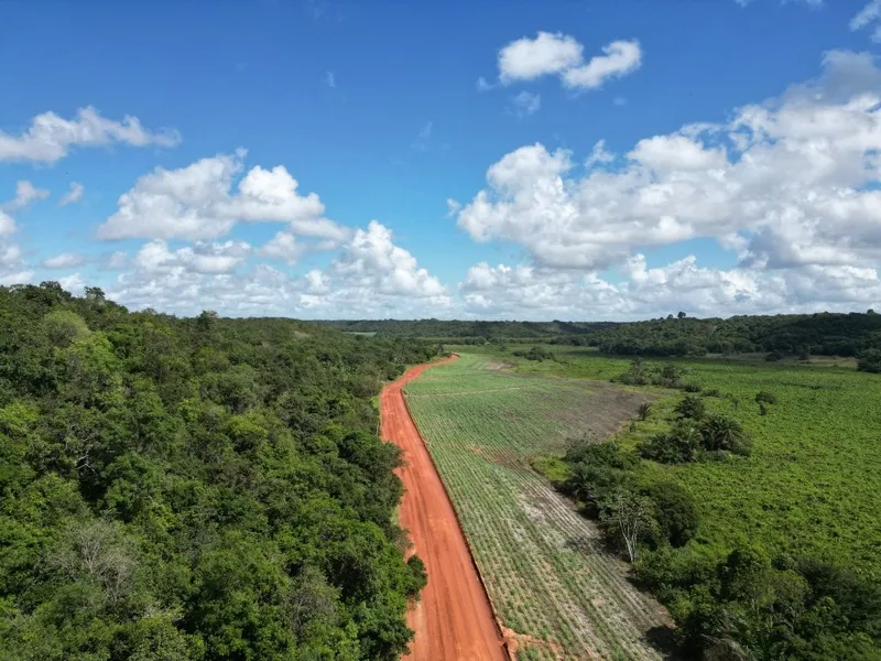 Gleba em leilão