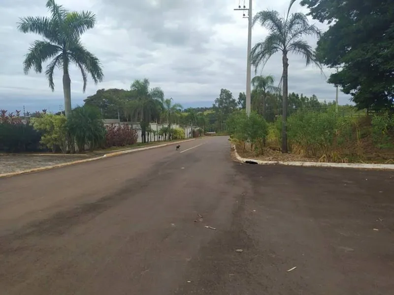 Terreno em leilão