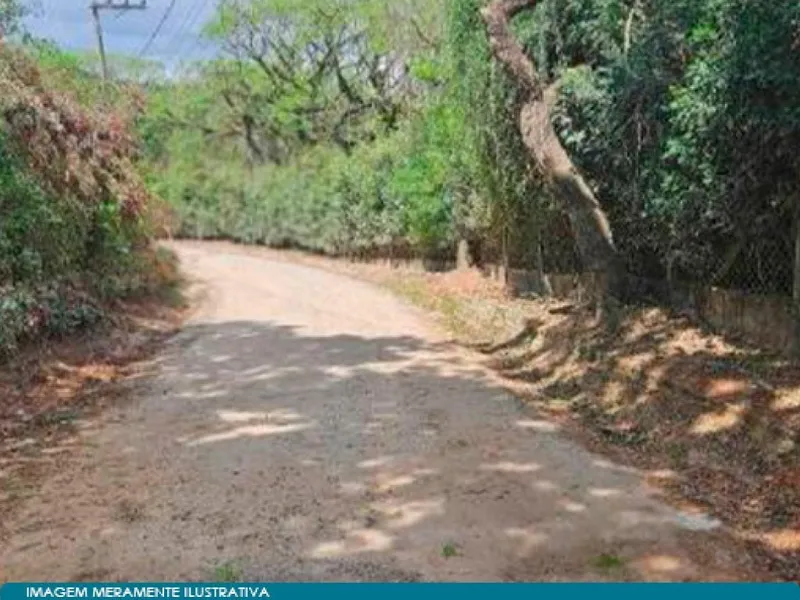 Gleba em leilão