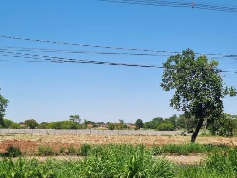 Outros em leilão