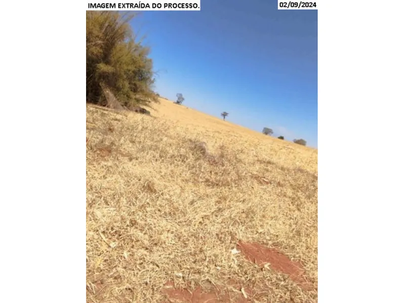 Imóvel rural em leilão