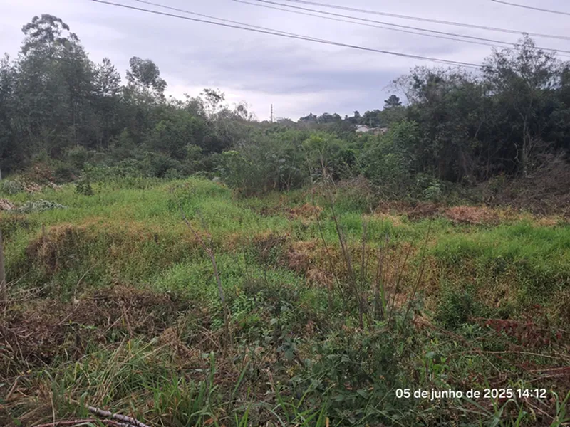 Terreno em leilão