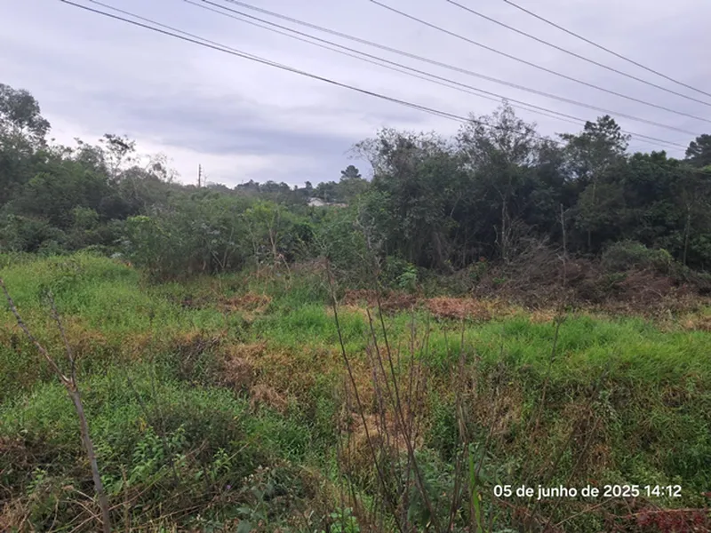 Terreno em leilão