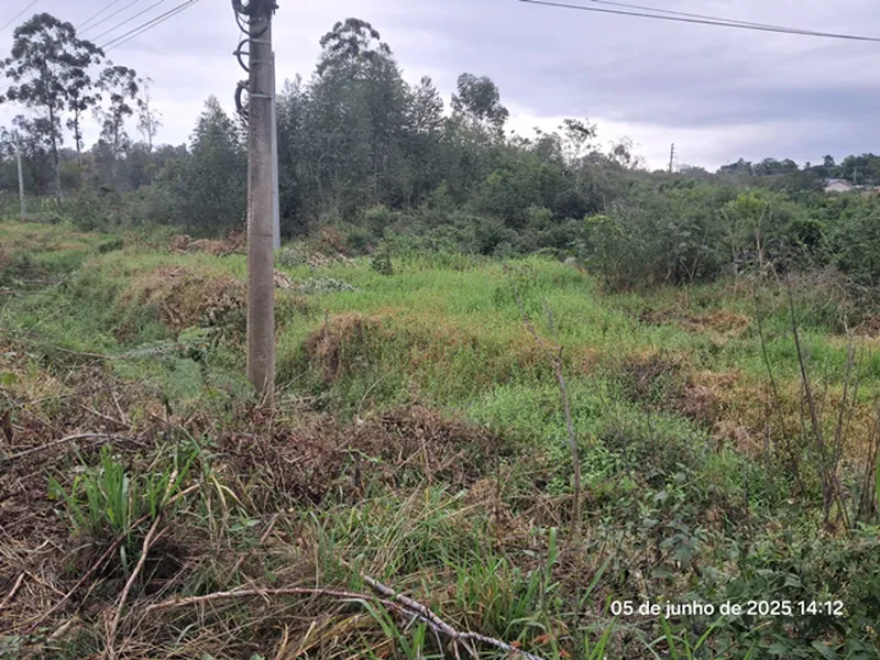 Terreno em leilão
