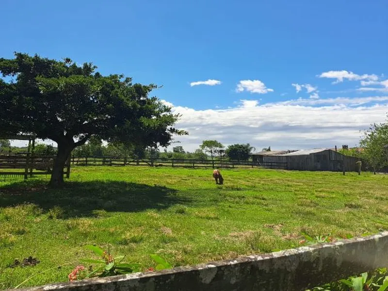 Galpão em leilão