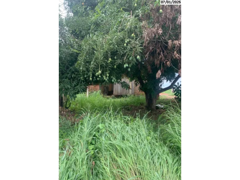 Terreno em Venda Direta