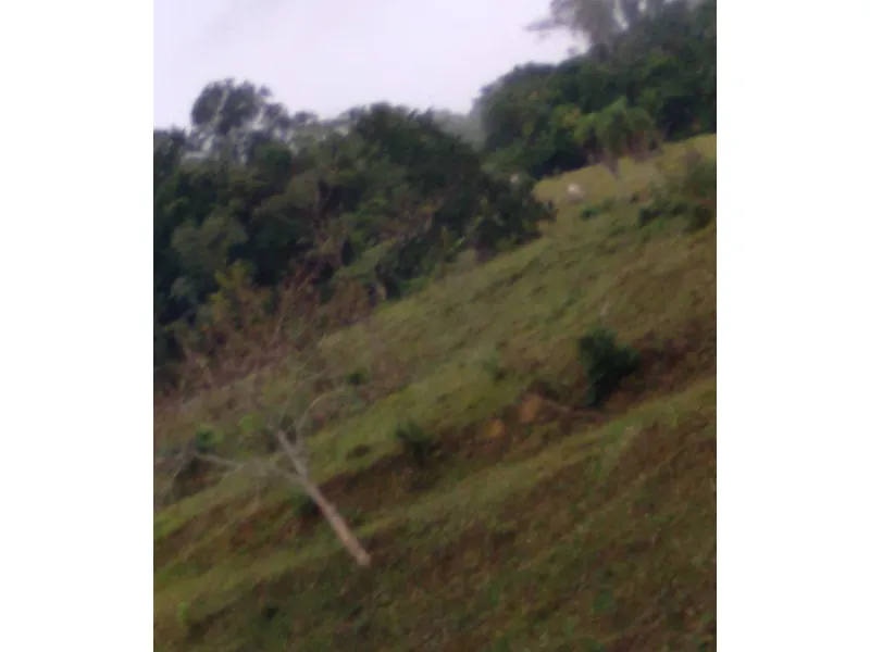 Imóvel rural em Leilão Judicial