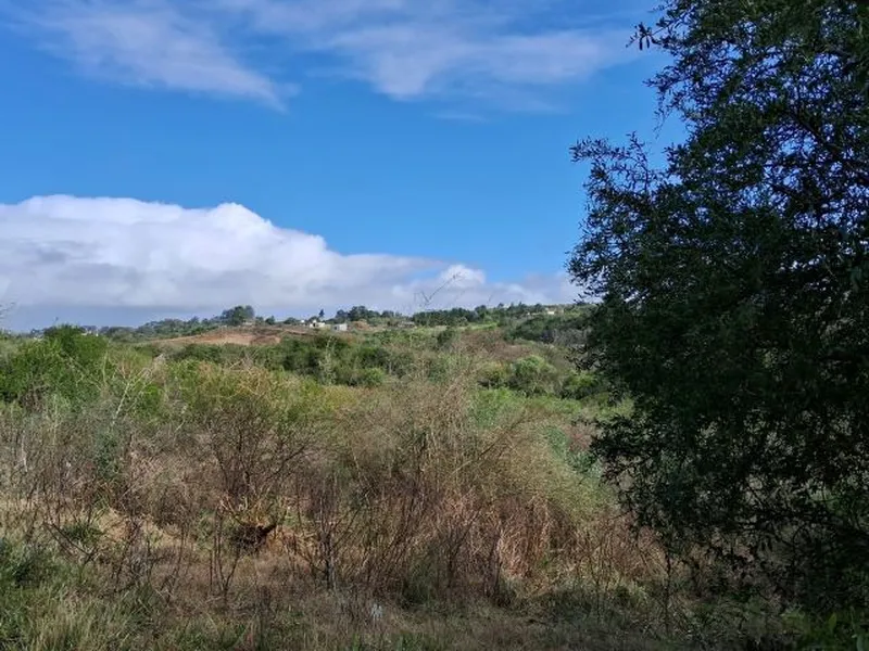 Imóvel rural em leilão