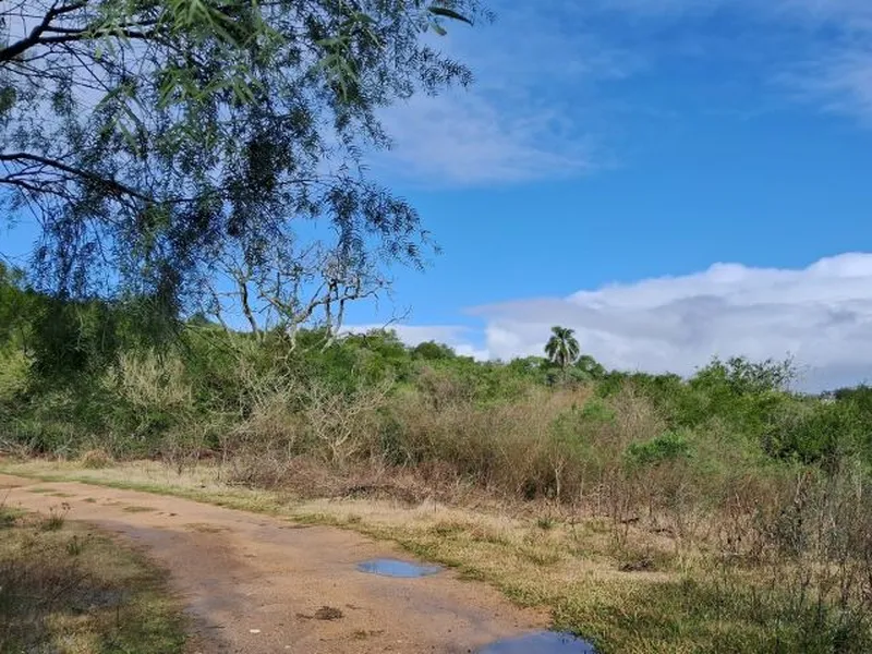 Imóvel rural em leilão