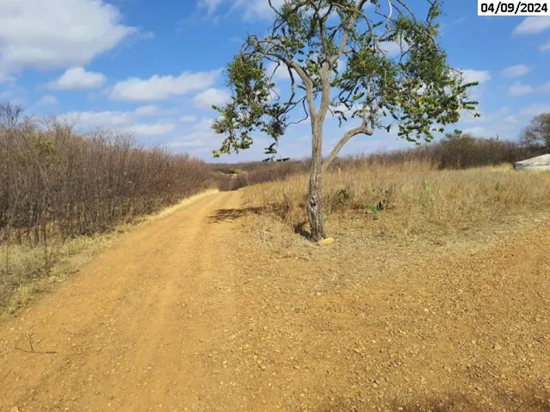 Imóvel rural em leilão