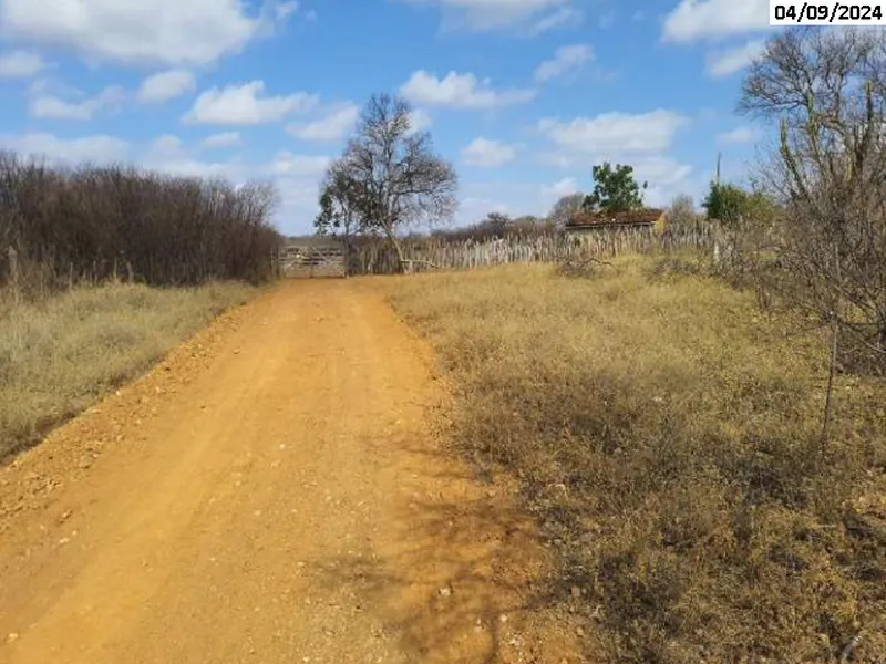 Imóvel rural em leilão
