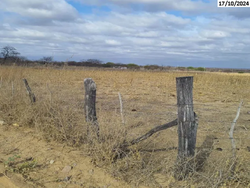 Imóvel rural em leilão
