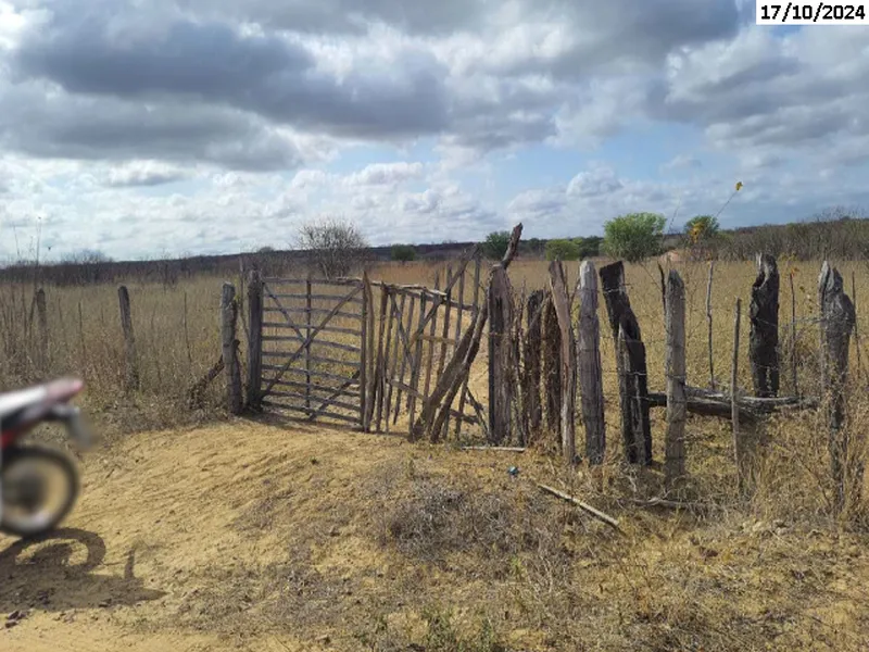 Imóvel rural em leilão