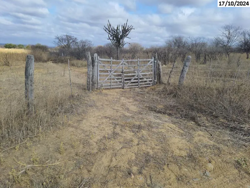 Imóvel rural em leilão