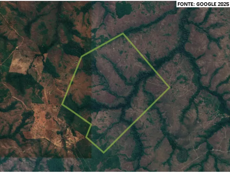 Imóvel rural em leilão