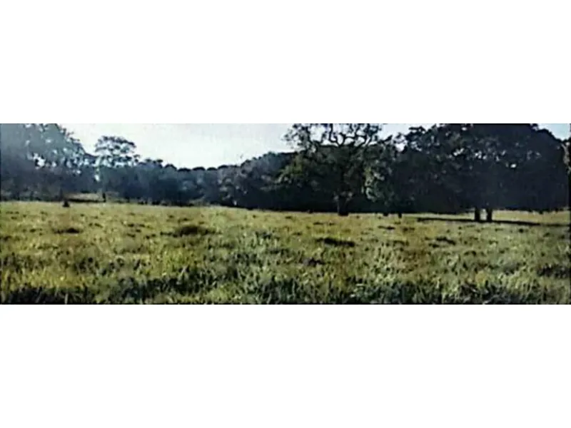 Imóvel rural em Leilão Extrajudicial