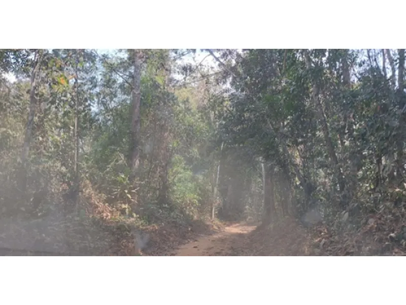 Imóvel rural em Leilão Judicial