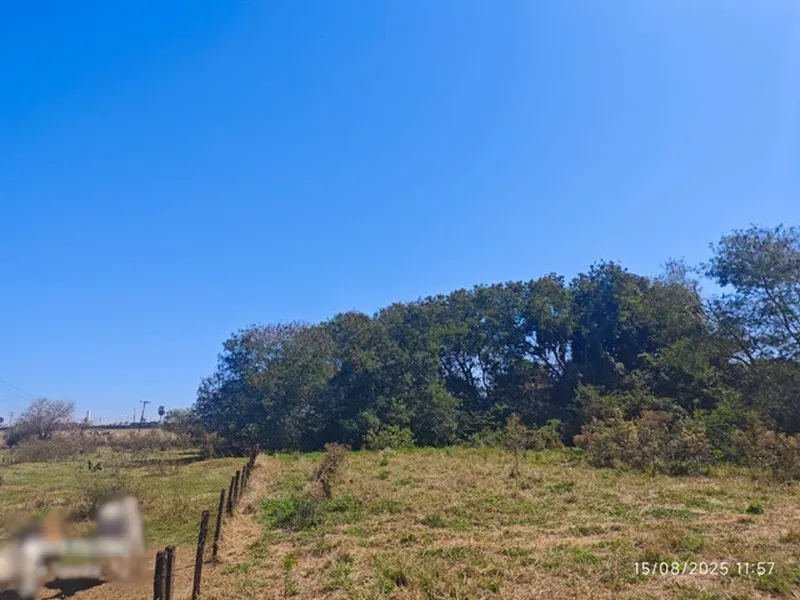 Imóvel rural em Leilão Judicial
