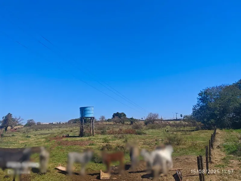 Imóvel rural em leilão