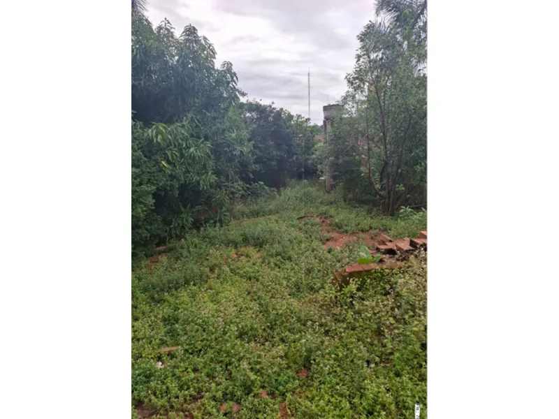 Terreno em leilão
