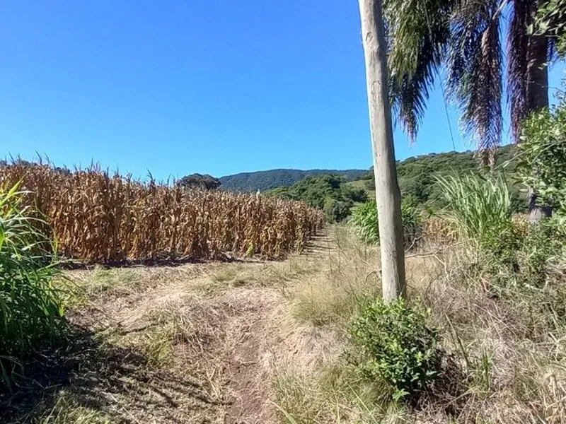 Imóvel rural em leilão