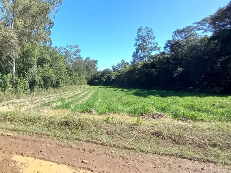 Imóvel rural em leilão